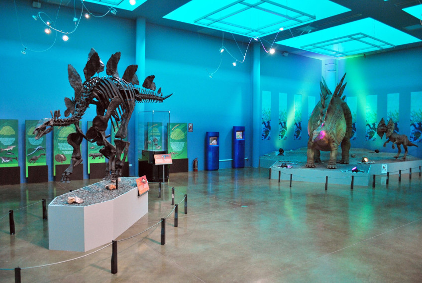 Museo del Desierto Chihuahuense